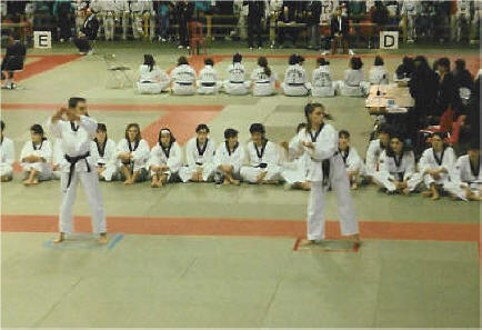 CIF93-2.jpg (142835 byte)
