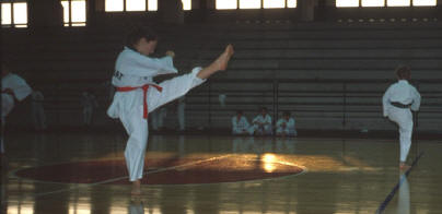 TrofeoCbudrio91-2.jpg (67821 byte)