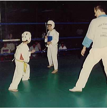 dimtkd93.jpg (14277 byte)